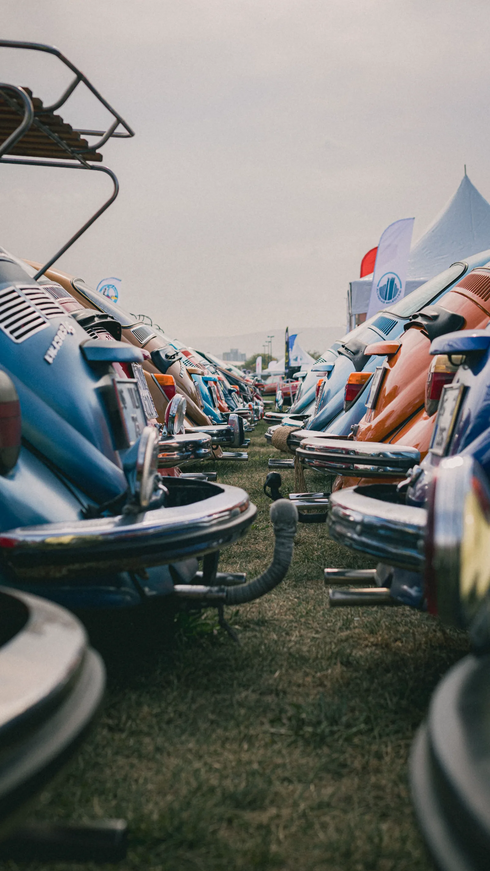 Row of classic Volkswagen Beetles lined up at an enthusiast meet